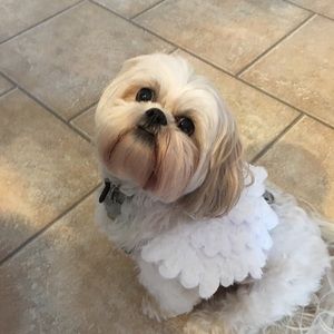 Meet your Posher, Heidi